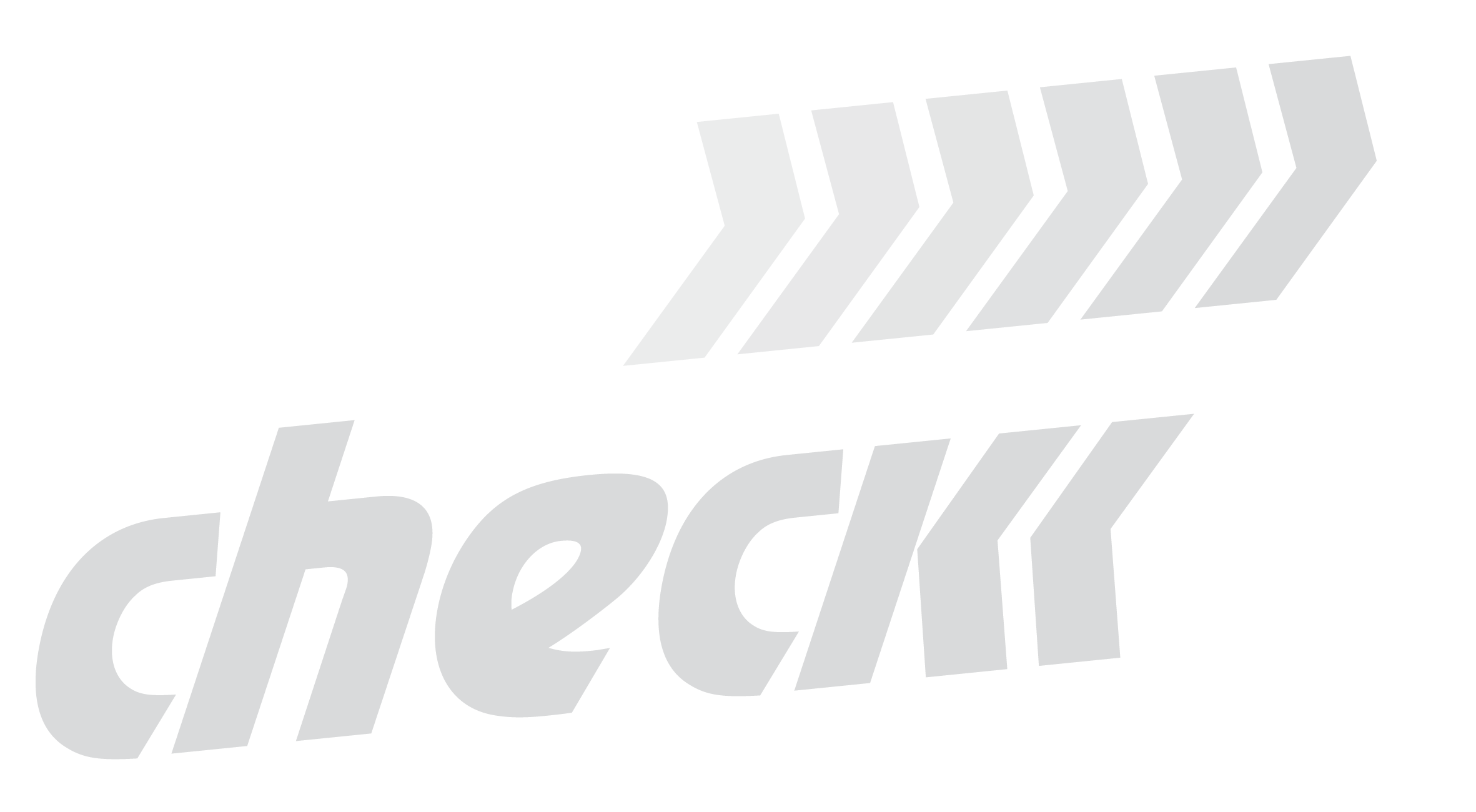skiCHECK Rapport